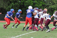 Enlarge photo 61