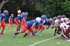 Enlarge photo 73