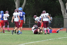 Enlarge photo 81