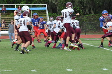 Enlarge photo 113