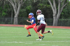 Enlarge photo 134