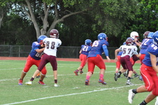 Enlarge photo 146