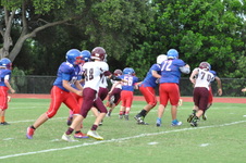 Enlarge photo 149