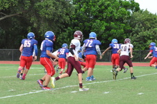 Enlarge photo 151
