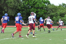 Enlarge photo 152