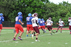 Enlarge photo 153