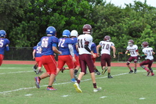Enlarge photo 154