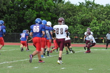 Enlarge photo 155