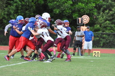 Enlarge photo 175