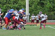 Enlarge photo 186