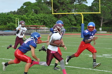 Enlarge photo 207