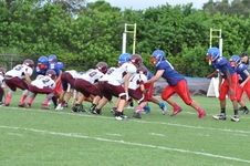 Enlarge photo 214