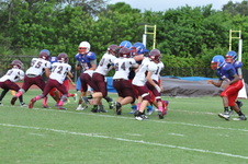 Enlarge photo 216