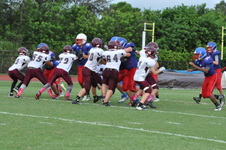 Enlarge photo 217