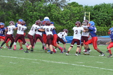 Enlarge photo 220