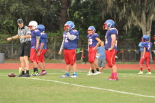 Enlarge photo 226