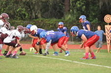 Enlarge photo 227