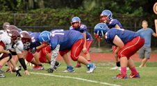 Enlarge photo 228