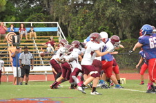 Enlarge photo 230