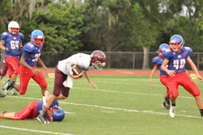Enlarge photo 235