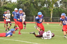 Enlarge photo 238
