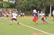 Enlarge photo 244