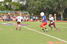 Enlarge photo 245