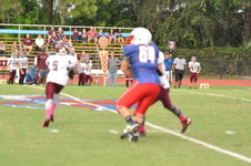 Enlarge photo 247