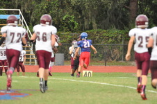 Enlarge photo 249
