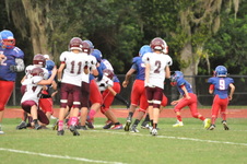 Enlarge photo 255