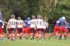 Enlarge photo 259