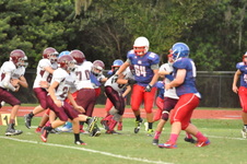 Enlarge photo 263