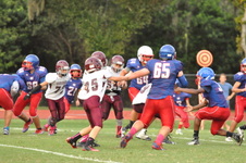 Enlarge photo 266
