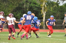 Enlarge photo 267