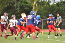 Enlarge photo 268