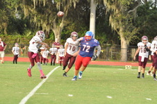 Enlarge photo 273