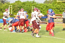 Enlarge photo 283