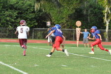 Enlarge photo 291