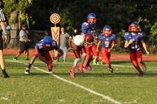 Enlarge photo 315