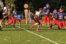 Enlarge photo 316