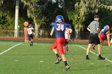 Enlarge photo 337