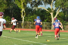 Enlarge photo 338