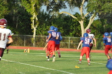 Enlarge photo 339