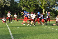 Enlarge photo 341