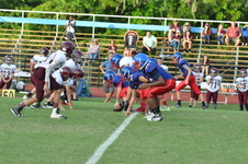 Enlarge photo 355