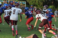Enlarge photo 369