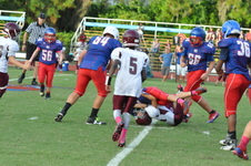 Enlarge photo 373
