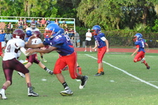 Enlarge photo 378