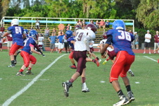 Enlarge photo 380