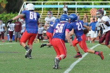 Enlarge photo 381